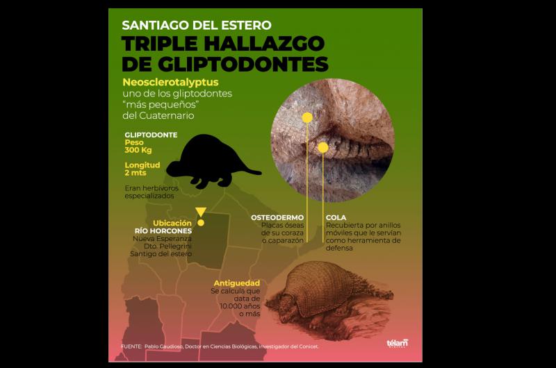 Hallan restos de gliptodontes de una especie que aún no se tenía