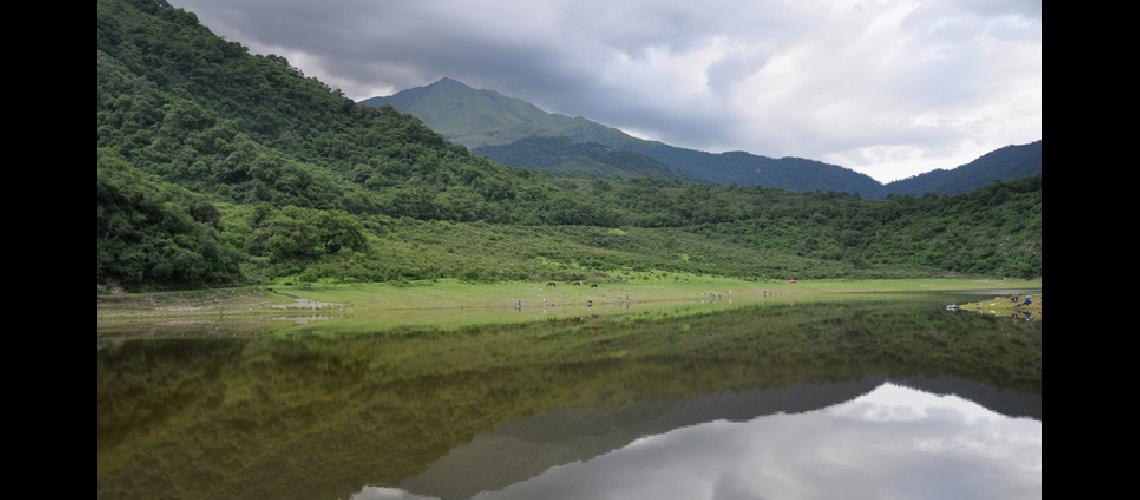 Yungas jujentildeas  naturaleza intensa 