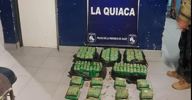 Se incautaron cerca de 50 kilos de hojas de coca en Abra Pampa