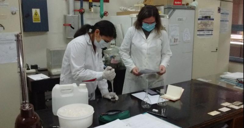 Investigacioacuten acadeacutemica busca remediar aacutereas contaminadas con plomo