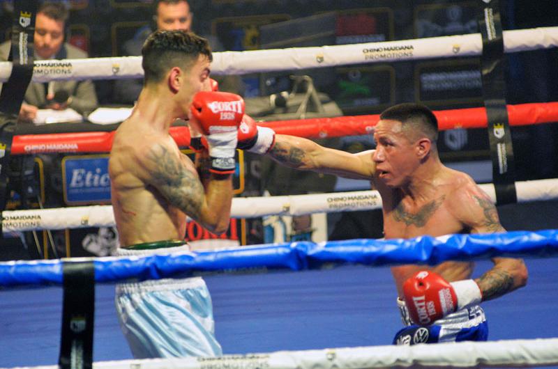 El Rayo Aquino se consagroacute nuevo campeoacuten argentino gallo