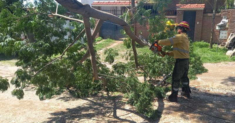 Rescate de fauna silvestre y tareas de asistencia por inclemencias climaacuteticas