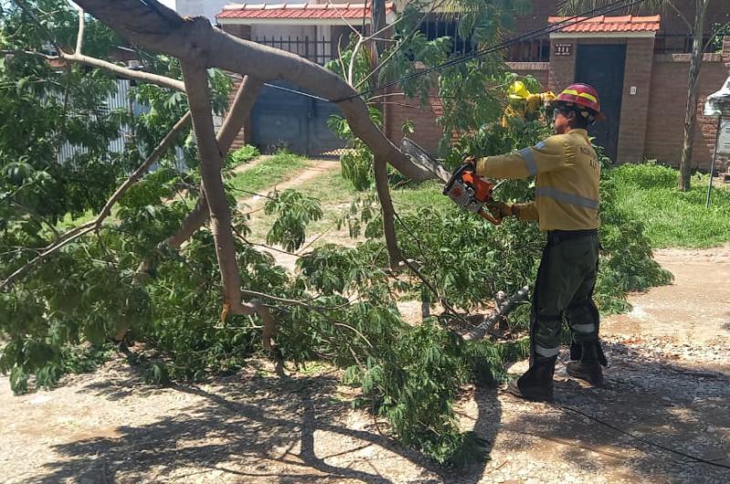 Rescate de fauna silvestre y tareas de asistencia por inclemencias climaacuteticas