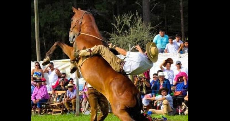 Festival del caballo criollo coleto y guardamonte en El Fuerte