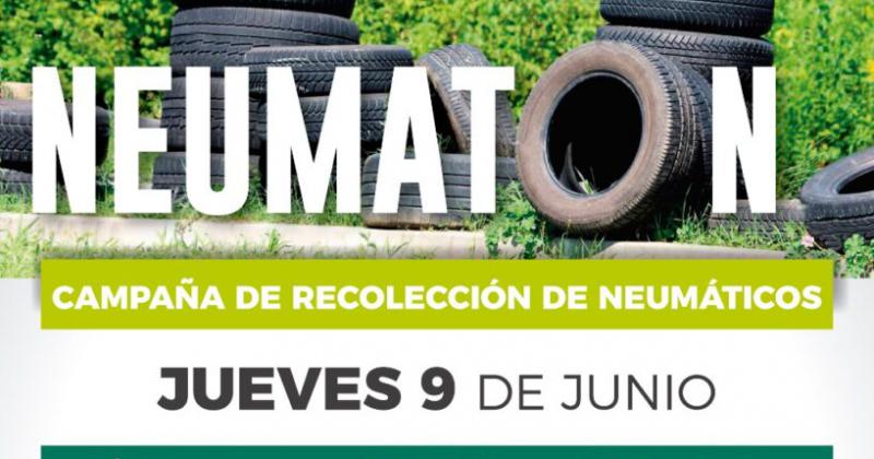 Sumaacutete a la campantildea de recoleccioacuten de neumaacuteticos en el barrio Malvinas