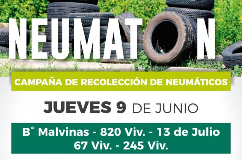 Sumaacutete a la campantildea de recoleccioacuten de neumaacuteticos en el barrio Malvinas