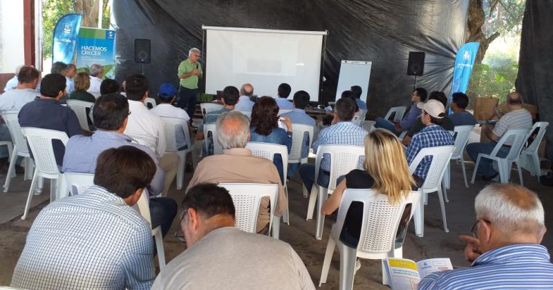 Cantildeeros realizan un Gran diacutea de campo con capacitaciones y otras actividades