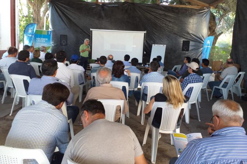 Cantildeeros realizan un Gran diacutea de campo con capacitaciones y otras actividades