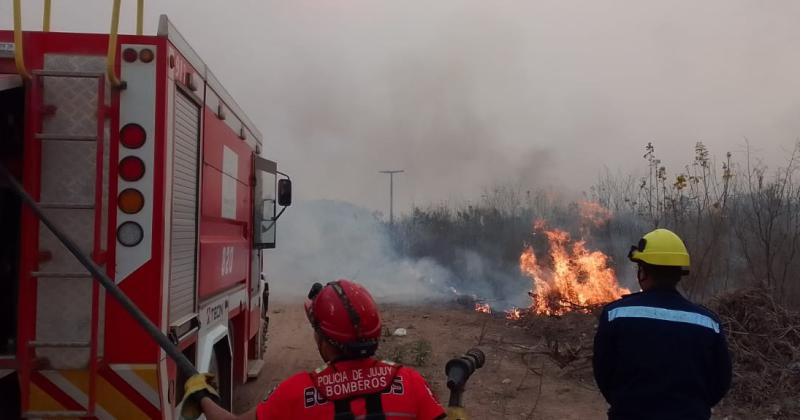 Bomberos combatieron voraz incendio de pastizales