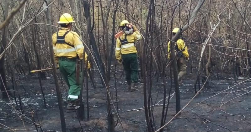 Denodada lucha contra los incendios en Yuto- ya se consumieron 6300 hectaacutereas