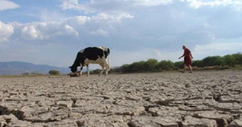 Declararon la emergencia agropecuaria por la sequiacutea en Santa Baacuterbara y el Ramal