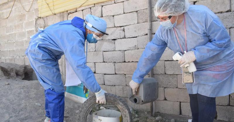 Salud reportoacute tres nuevos casos de dengue en Caimancito y Libertador