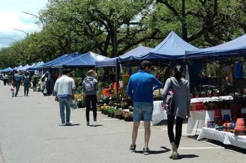 Entre el viernes 14 y domingo 16 se realizaraacute la exposicioacuten La Flor maacutes Bella