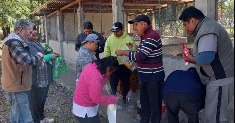 Colaboracioacuten con el vivero de la asociacioacuten Todos Juntos