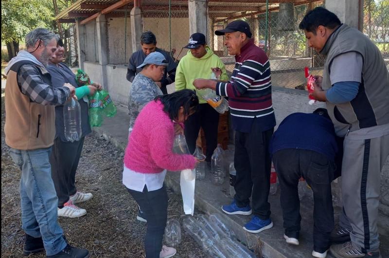 Colaboracioacuten con el vivero de la asociacioacuten Todos Juntos