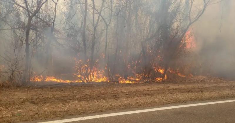 La temporada de incendios estaacute en plena vigencia y triplicaron las multas por iniciar fuego