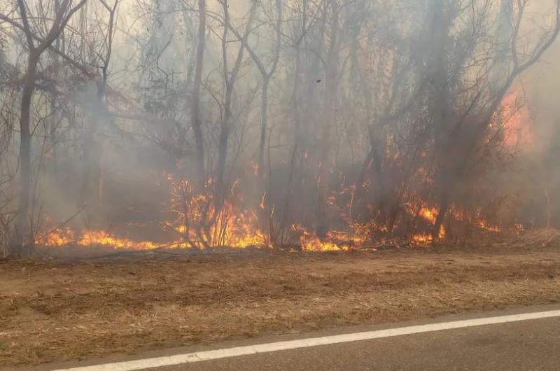 La temporada de incendios estaacute en plena vigencia y triplicaron las multas por iniciar fuego