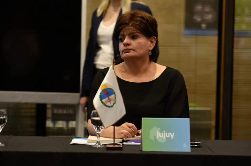 Jujuy participoacute de debate sobre el uso de los mercados de carbono