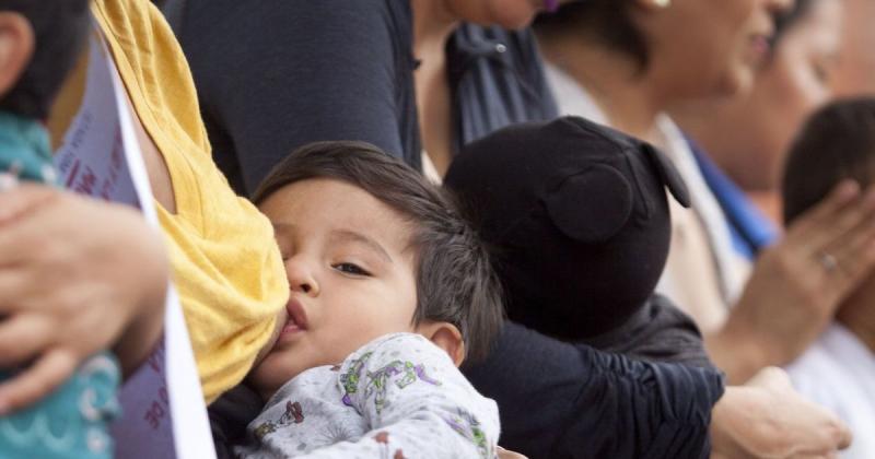 Agenda por la Semana Mundial de la Lactancia 