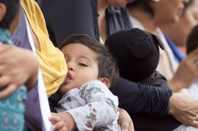 Agenda por la Semana Mundial de la Lactancia 