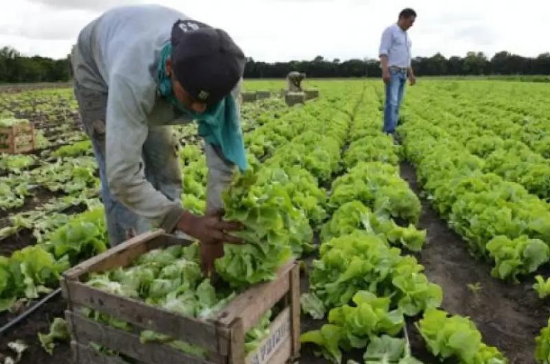 Se eliminaraacuten las retenciones a las economiacuteas regionales 