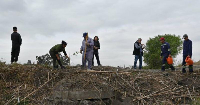 Trabajan en un importante proyecto para restaurar el bosque nativo de la ciudad