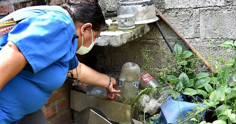 Dengue- bajan los casos en el paiacutes y en Jujuy se presentan 17508 casos