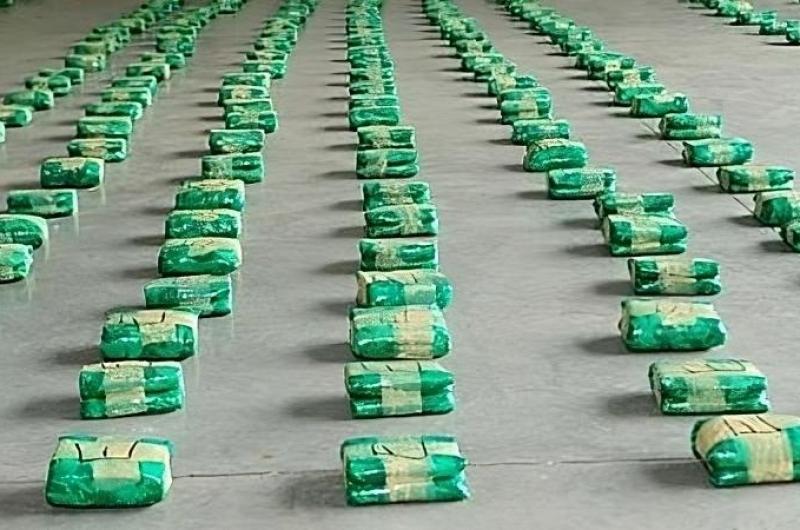 Policiacuteas incautaron maacutes de 500 kilosde hojas de coca en su estado natural