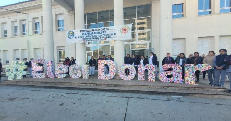 En lo que va del antildeo Jujuy lleva29 procedimientos de ablacioacuten