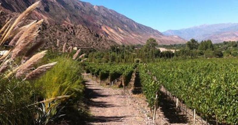 Jornada de valorizacioacuten de la vitivinicultura