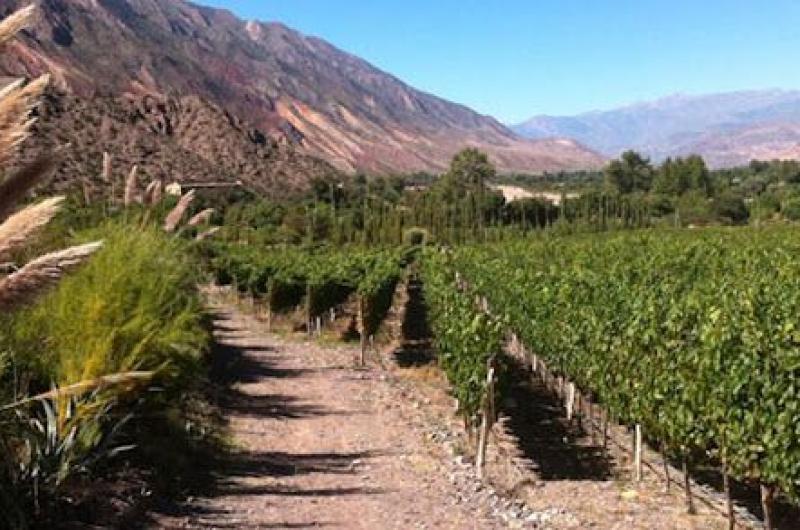 Jornada de valorizacioacuten de la vitivinicultura