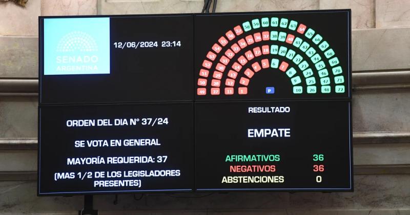 Ley Bases- el Senado aproboacute el mega proyecto en general 