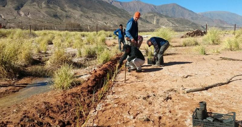 Recursos Hiacutedricos refuerza defensa de riacuteos de la provincia con obras de bioingenieriacutea