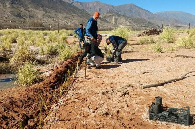 Recursos Hiacutedricos refuerza defensa de riacuteos de la provincia con obras de bioingenieriacutea