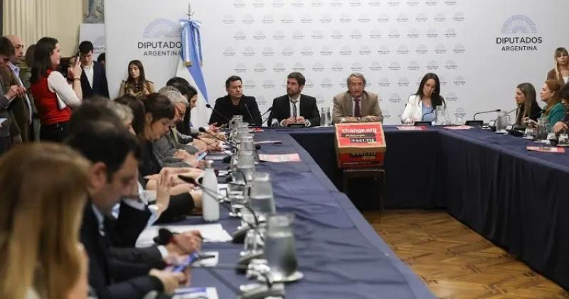 El Congreso trata la Ficha Limpia ley que Jujuy ya la tiene desde 2022