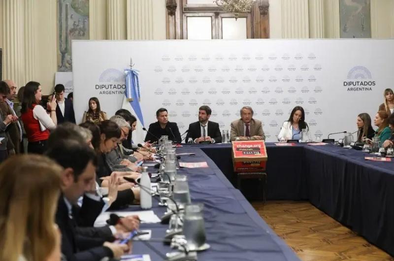 El Congreso trata la Ficha Limpia ley que Jujuy ya la tiene desde 2022