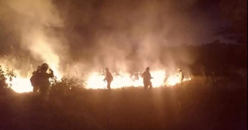 Un incendio de pastizales consumioacute cinco hectaacutereas en El Carmen a la vera de ruta 34