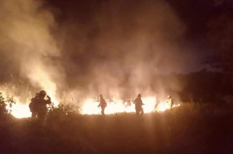 Un incendio de pastizales consumioacute cinco hectaacutereas en El Carmen a la vera de ruta 34