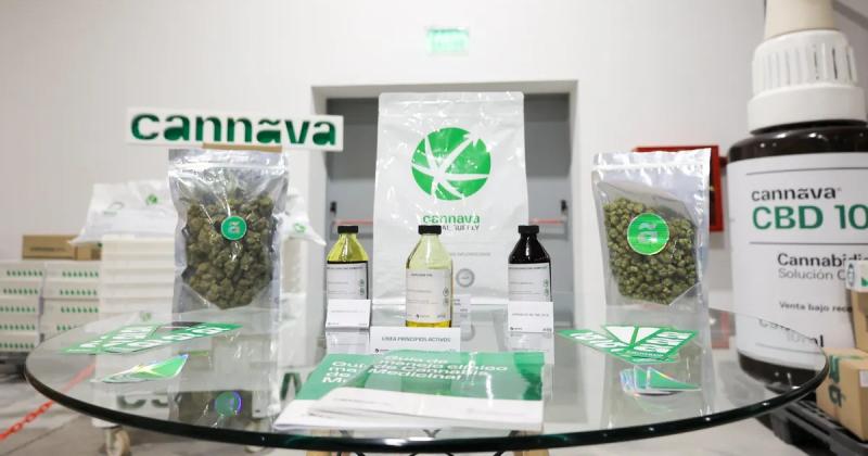 Cannabis medicinal de Jujuy llegoacute a Europa y Australia