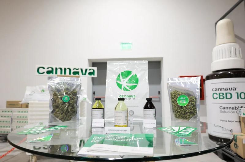 Cannabis medicinal de Jujuy llegoacute a Europa y Australia