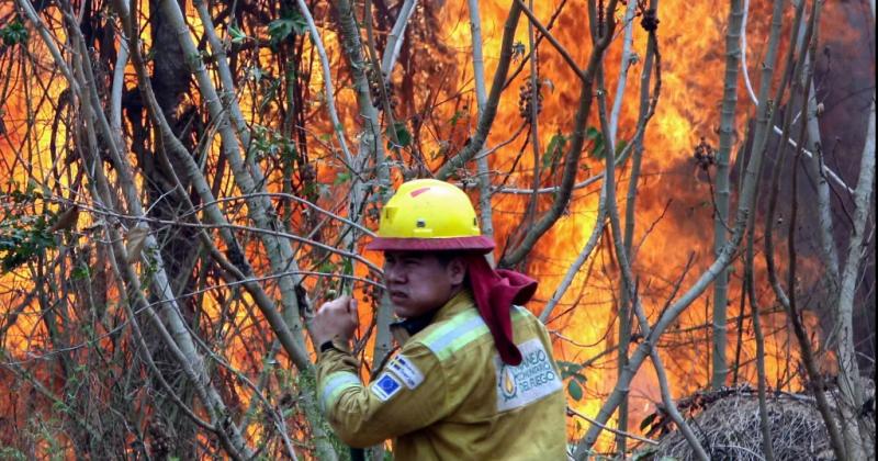 El presidente Arce declaroacute el desastre nacional por los incendios forestales