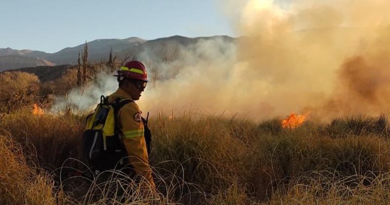 Alerta por los incendios forestales ya se quemaronmaacutes de 1700 hectaacutereas