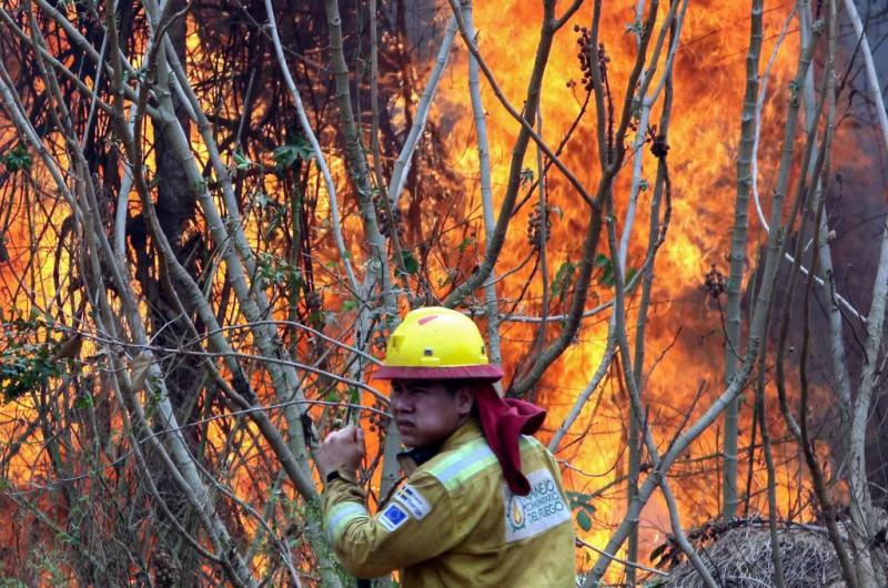 El presidente Arce declaroacute el desastre nacional por los incendios forestales