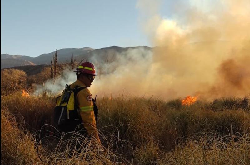 Alerta por los incendios forestales ya se quemaronmaacutes de 1700 hectaacutereas