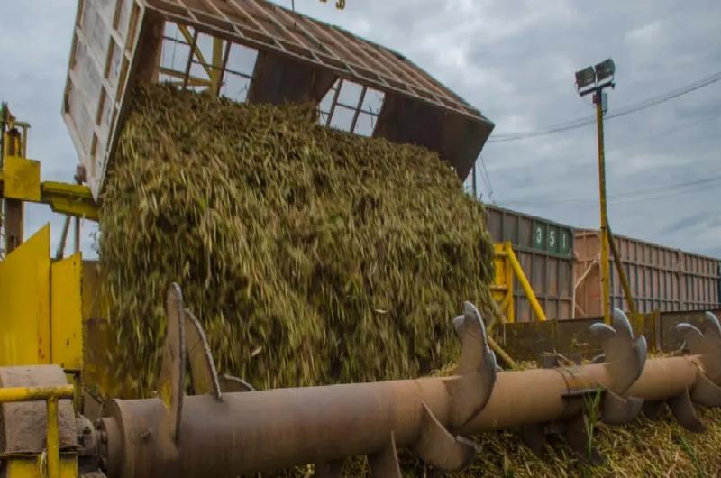 Jujuy marca reacutecord en exportaciones del NOA