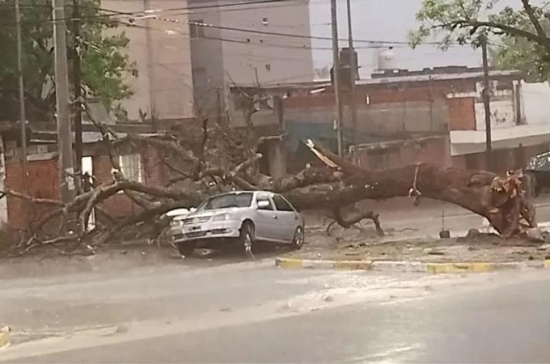 Anegamientos y peligrosa caiacuteda de aacuterboles dejoacute la fuerte tormenta en Capital