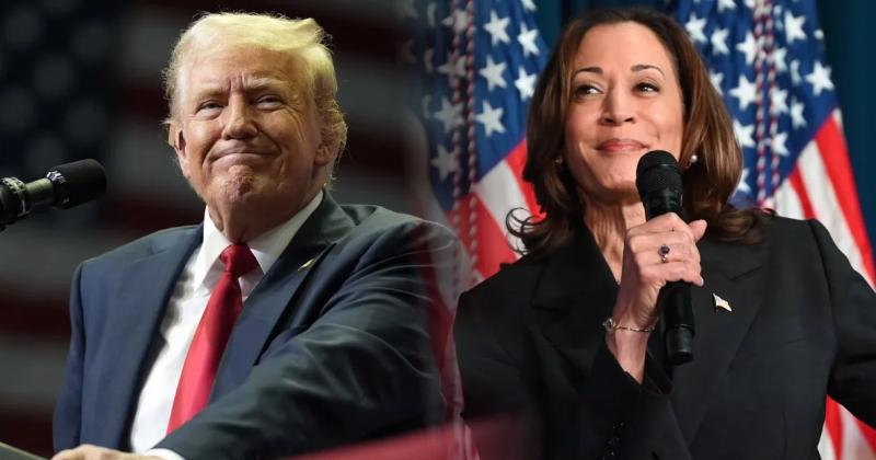 Trump - Harris