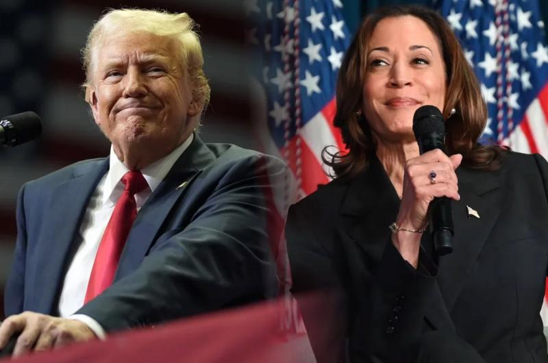 Trump - Harris