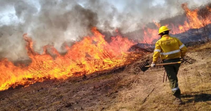 Durante la temporada 2024 se registraron 468 incendios forestales en Jujuy