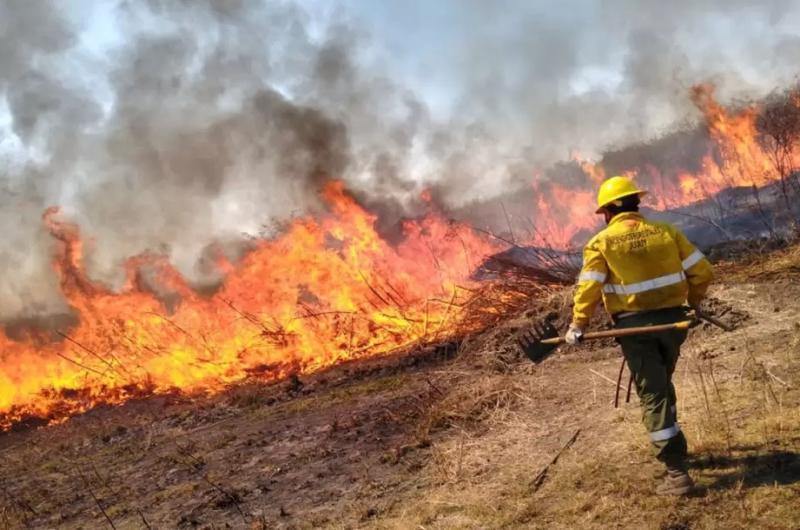 Durante la temporada 2024 se registraron 468 incendios forestales en Jujuy